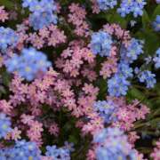 ヒメ日記 2026/02/28 19:34 投稿 みり ラブコレ