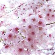 ヒメ日記 2026/03/04 19:28 投稿 みり ラブコレ