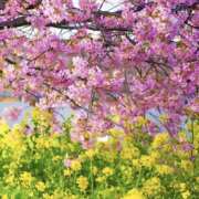 ヒメ日記 2026/03/27 19:37 投稿 みり ラブコレ