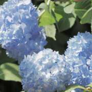 ヒメ日記 2026/04/02 20:46 投稿 みり ラブコレ