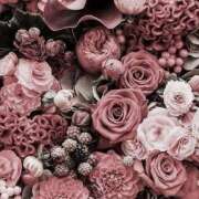 ヒメ日記 2026/04/08 21:53 投稿 みり ラブコレ