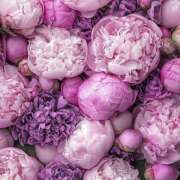 ヒメ日記 2026/04/20 19:26 投稿 みり ラブコレ