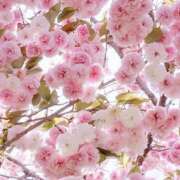 ヒメ日記 2026/04/23 19:46 投稿 みり ラブコレ