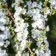 ヒメ日記 2026/04/24 19:51 投稿 みり ラブコレ