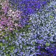 ヒメ日記 2026/04/28 20:28 投稿 みり ラブコレ