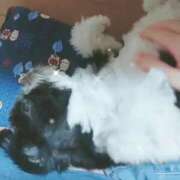 ヒメ日記 2025/01/08 17:21 投稿 ふう♡即プレイ可能♡ Q-STORY