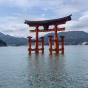 ヒメ日記 2025/01/06 08:07 投稿 みかん ゴールドクイーン