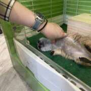 ヒメ日記 2025/03/12 09:12 投稿 みかん ゴールドクイーン