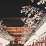 ヒメ日記 2025/04/06 07:24 投稿 みかん ゴールドクイーン