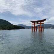 ヒメ日記 2025/06/02 09:00 投稿 みかん ゴールドクイーン