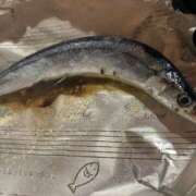 ヒメ日記 2025/06/10 08:19 投稿 みかん ゴールドクイーン