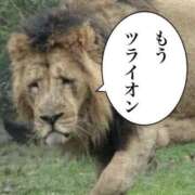 ヒメ日記 2025/06/25 08:30 投稿 みかん ゴールドクイーン