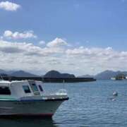 ヒメ日記 2025/07/08 09:54 投稿 みかん ゴールドクイーン