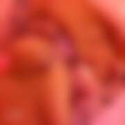 ヒメ日記 2025/07/20 09:00 投稿 みかん ゴールドクイーン