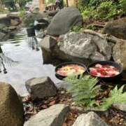 ヒメ日記 2025/08/16 08:25 投稿 みかん ゴールドクイーン