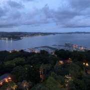 ヒメ日記 2025/08/24 08:30 投稿 みかん ゴールドクイーン