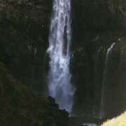 ヒメ日記 2025/09/25 08:00 投稿 みかん ゴールドクイーン