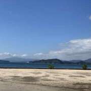 ヒメ日記 2025/09/27 08:00 投稿 みかん ゴールドクイーン