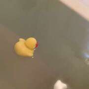 ヒメ日記 2025/10/27 13:42 投稿 みかん ゴールドクイーン