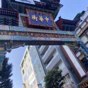 ヒメ日記 2025/11/27 07:32 投稿 みかん ゴールドクイーン