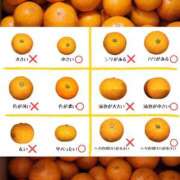 ヒメ日記 2025/11/28 08:59 投稿 みかん ゴールドクイーン
