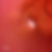 ヒメ日記 2025/12/24 09:13 投稿 みかん ゴールドクイーン