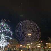 ヒメ日記 2026/02/10 08:00 投稿 みかん ゴールドクイーン