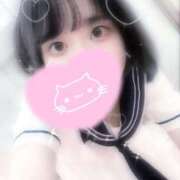 ヒメ日記 2025/02/09 10:07 投稿 あおい【輝き放つ未経験♡】 LIPS(リップス)