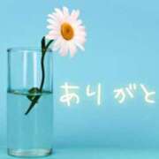 ヒメ日記 2025/04/24 01:25 投稿 ゆみ 丸の内