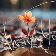 ヒメ日記 2025/05/04 01:55 投稿 ゆみ 丸の内