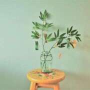 ヒメ日記 2025/07/06 07:05 投稿 ゆみ 丸の内