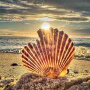 ヒメ日記 2025/07/17 00:15 投稿 ゆみ 丸の内