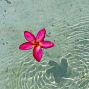 ヒメ日記 2025/08/03 01:55 投稿 ゆみ 丸の内