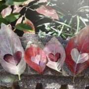 ヒメ日記 2025/09/21 09:05 投稿 ゆみ 丸の内