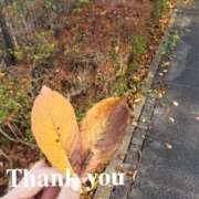 ヒメ日記 2025/10/02 21:25 投稿 ゆみ 丸の内