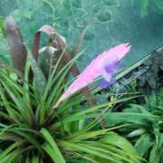 ヒメ日記 2025/11/03 02:35 投稿 ゆみ 丸の内