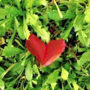 ヒメ日記 2025/11/07 21:35 投稿 ゆみ 丸の内