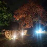 ヒメ日記 2025/11/15 12:15 投稿 ゆみ 丸の内