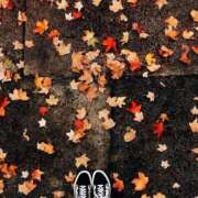 ゆみ 11.15 丸の内