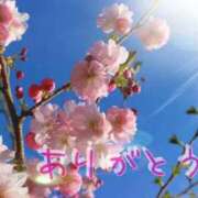 ヒメ日記 2026/03/08 10:05 投稿 ゆみ 丸の内