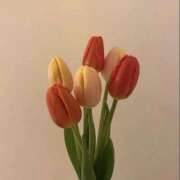 ヒメ日記 2025/11/17 17:44 投稿 【みる】癒し系の激カワ娘 おねだり宮崎