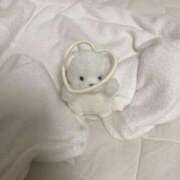 ヒメ日記 2025/12/11 20:29 投稿 【みる】癒し系の激カワ娘 おねだり宮崎