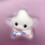 ヒメ日記 2025/12/12 23:08 投稿 【みる】癒し系の激カワ娘 おねだり宮崎