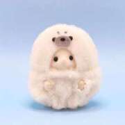 ヒメ日記 2026/03/06 14:38 投稿 【みる】癒し系の激カワ娘 おねだり宮崎