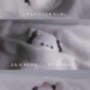 ヒメ日記 2026/04/15 16:08 投稿 【みる】癒し系の激カワ娘 おねだり宮崎