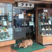 ヒメ日記 2026/05/25 16:18 投稿 【みる】癒し系の激カワ娘 おねだり宮崎