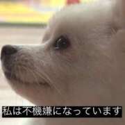ヒメ日記 2026/09/23 10:08 投稿 【みる】癒し系の激カワ娘 おねだり宮崎