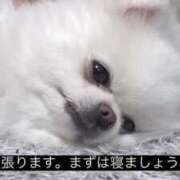 ヒメ日記 2026/10/02 21:31 投稿 【みる】癒し系の激カワ娘 おねだり宮崎