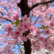 ヒメ日記 2026/03/02 18:51 投稿 由麻(ゆま) グランドオペラ横浜