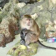 ヒメ日記 2025/10/17 18:03 投稿 さとみ◇接客抜群の癒し系美女◇ H-ash（アッシュ）